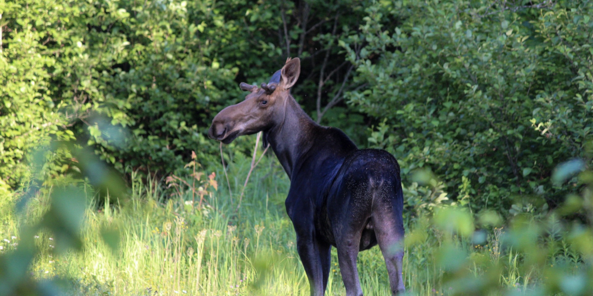 Claire Thorne